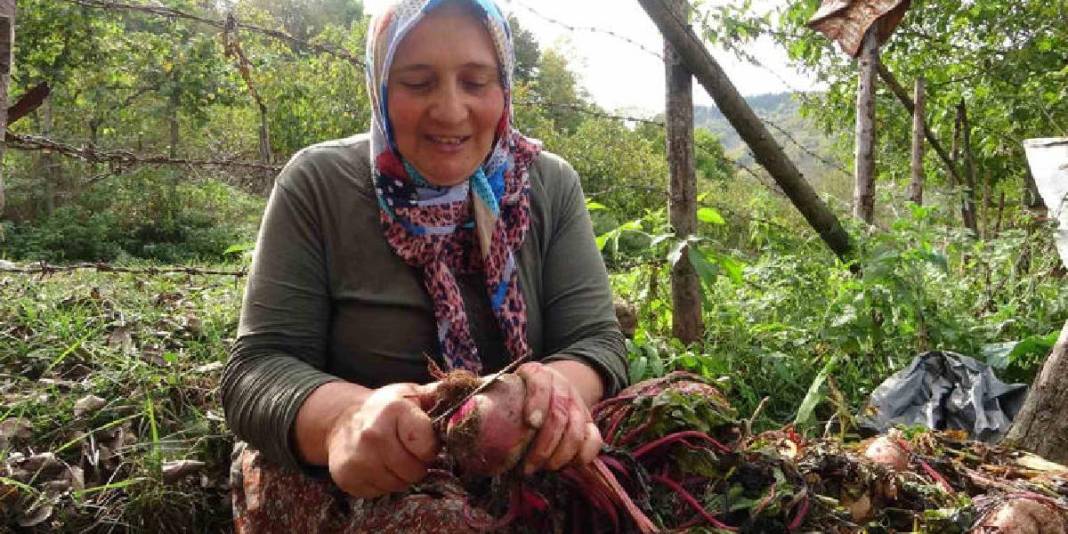 Yüksek kesimlerden gelen lezzetler kışa hazırlanıyor! İmece usulü yapılıyor, kışın çok fazla ihtiyaç duyuluyor 2